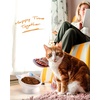 image:imageRaised Cat Food Bowl Ceramic 15 Tilted Cat Food Bowls Protect Cats Spine Anti Vomiting Backflow Prevention Bowls for Adult Kitty Kitten and Small Dogs PinkBlue2P