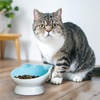 image:imageRaised Cat Food Bowl Ceramic 15 Tilted Cat Food Bowls Protect Cats Spine Anti Vomiting Backflow Prevention Bowls for Adult Kitty Kitten and Small Dogs Pinkblue white