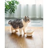 image:imageRaised Cat Food Bowl Ceramic 15 Tilted Cat Food Bowls Protect Cats Spine Anti Vomiting Backflow Prevention Bowls for Adult Kitty Kitten and Small Dogs PinkPink Ears