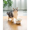 image:imageRaised Cat Food Bowl Ceramic 15 Tilted Cat Food Bowls Protect Cats Spine Anti Vomiting Backflow Prevention Bowls for Adult Kitty Kitten and Small Dogs PinkWhite Ears