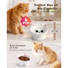 image:imageRaised Cat Food Bowl Ceramic 15 Tilted Cat Food Bowls Protect Cats Spine Anti Vomiting Backflow Prevention Bowls for Adult Kitty Kitten and Small Dogs PinkPink2P