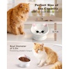 image:imageRaised Cat Food Bowl Ceramic 15 Tilted Cat Food Bowls Protect Cats Spine Anti Vomiting Backflow Prevention Bowls for Adult Kitty Kitten and Small Dogs PinkPink Ears