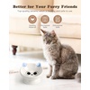 image:imageRaised Cat Food Bowl Ceramic 15 Tilted Cat Food Bowls Protect Cats Spine Anti Vomiting Backflow Prevention Bowls for Adult Kitty Kitten and Small Dogs PinkBlue2P