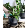 image:imageAISBUGUR Plant Pots 6 inch Ceramic Pots for Indoor Plants Set of 2 Flower Pots Unique Crackle Glaze Design Plant Pots with Drainage Hole and Saucer Come with Drainage Nets Aqua GreenGray