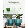 image:imageAISBUGUR Plant Pots 6 inch Ceramic Pots for Indoor Plants Set of 2 Flower Pots Unique Crackle Glaze Design Plant Pots with Drainage Hole and Saucer Come with Drainage Nets Aqua GreenAqua Green