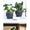 image:imageAISBUGUR Plant Pots 6 inch Ceramic Pots for Indoor Plants Set of 2 Flower Pots Unique Crackle Glaze Design Plant Pots with Drainage Hole and Saucer Come with Drainage Nets Aqua GreenGray