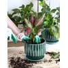 image:imageAISBUGUR Plant Pots 6 inch Ceramic Pots for Indoor Plants Set of 2 Flower Pots Unique Crackle Glaze Design Plant Pots with Drainage Hole and Saucer Come with Drainage Nets Aqua GreenAqua Green