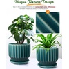 image:imageAISBUGUR Plant Pots 6 inch Ceramic Pots for Indoor Plants Set of 2 Flower Pots Unique Crackle Glaze Design Plant Pots with Drainage Hole and Saucer Come with Drainage Nets Aqua GreenAqua Green