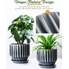 image:imageAISBUGUR Plant Pots 6 inch Ceramic Pots for Indoor Plants Set of 2 Flower Pots Unique Crackle Glaze Design Plant Pots with Drainage Hole and Saucer Come with Drainage Nets Aqua GreenGray