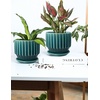 image:imageAISBUGUR Plant Pots 6 inch Ceramic Pots for Indoor Plants Set of 2 Flower Pots Unique Crackle Glaze Design Plant Pots with Drainage Hole and Saucer Come with Drainage Nets Aqua GreenAqua Green