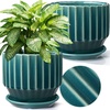 image:imageAISBUGUR Plant Pots 6 inch Ceramic Pots for Indoor Plants Set of 2 Flower Pots Unique Crackle Glaze Design Plant Pots with Drainage Hole and Saucer Come with Drainage Nets Aqua GreenAqua Green