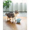 image:imageRaised Cat Food Bowl Ceramic 15 Tilted Cat Food Bowls Protect Cats Spine Anti Vomiting Backflow Prevention Bowls for Adult Kitty Kitten and Small Dogs GreenFaceBlue1P