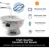 image:imageRaised Cat Food Bowl Ceramic 15 Tilted Cat Food Bowls Protect Cats Spine Anti Vomiting Backflow Prevention Bowls for Adult Kitty Kitten and Small Dogs GreenPinkWater Bowl