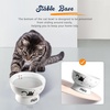 image:imageRaised Cat Food Bowl Ceramic 15 Tilted Cat Food Bowls Protect Cats Spine Anti Vomiting Backflow Prevention Bowls for Adult Kitty Kitten and Small Dogs GreenPinkWater Bowl