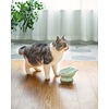 image:imageRaised Cat Food Bowl Ceramic 15 Tilted Cat Food Bowls Protect Cats Spine Anti Vomiting Backflow Prevention Bowls for Adult Kitty Kitten and Small Dogs GreenFaceGreen1P