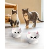 image:imageRaised Cat Food Bowl Ceramic 15 Tilted Cat Food Bowls Protect Cats Spine Anti Vomiting Backflow Prevention Bowls for Adult Kitty Kitten and Small Dogs GreenPink2P