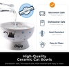 image:imageRaised Cat Food Bowl Ceramic 15 Tilted Cat Food Bowls Protect Cats Spine Anti Vomiting Backflow Prevention Bowls for Adult Kitty Kitten and Small Dogs GreenBlueWater Bowl