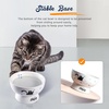 image:imageRaised Cat Food Bowl Ceramic 15 Tilted Cat Food Bowls Protect Cats Spine Anti Vomiting Backflow Prevention Bowls for Adult Kitty Kitten and Small Dogs GreenBlueWater Bowl