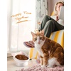 image:imageRaised Cat Food Bowl Ceramic 15 Tilted Cat Food Bowls Protect Cats Spine Anti Vomiting Backflow Prevention Bowls for Adult Kitty Kitten and Small Dogs GreenPink2P