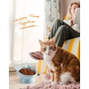image:imageRaised Cat Food Bowl Ceramic 15 Tilted Cat Food Bowls Protect Cats Spine Anti Vomiting Backflow Prevention Bowls for Adult Kitty Kitten and Small Dogs GreenFaceBlue1P