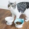 image:imageRaised Cat Food Bowl Ceramic 15 Tilted Cat Food Bowls Protect Cats Spine Anti Vomiting Backflow Prevention Bowls for Adult Kitty Kitten and Small Dogs GreenBlueWater Bowl