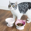 image:imageRaised Cat Food Bowl Ceramic 15 Tilted Cat Food Bowls Protect Cats Spine Anti Vomiting Backflow Prevention Bowls for Adult Kitty Kitten and Small Dogs GreenPinkWater Bowl