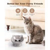 image:imageRaised Cat Food Bowl Ceramic 15 Tilted Cat Food Bowls Protect Cats Spine Anti Vomiting Backflow Prevention Bowls for Adult Kitty Kitten and Small Dogs GreenFaceGrey1P
