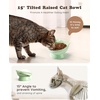 image:imageRaised Cat Food Bowl Ceramic 15 Tilted Cat Food Bowls Protect Cats Spine Anti Vomiting Backflow Prevention Bowls for Adult Kitty Kitten and Small Dogs GreenFaceGreen1P