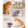 image:imageRaised Cat Food Bowl Ceramic 15 Tilted Cat Food Bowls Protect Cats Spine Anti Vomiting Backflow Prevention Bowls for Adult Kitty Kitten and Small Dogs GreenFaceGrey1P