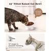 image:imageRaised Cat Food Bowl Ceramic 15 Tilted Cat Food Bowls Protect Cats Spine Anti Vomiting Backflow Prevention Bowls for Adult Kitty Kitten and Small Dogs GreenPink2P