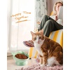 image:imageRaised Cat Food Bowl Ceramic 15 Tilted Cat Food Bowls Protect Cats Spine Anti Vomiting Backflow Prevention Bowls for Adult Kitty Kitten and Small Dogs GreenFaceGreen1P