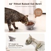 image:imageRaised Cat Food Bowl Ceramic 15 Tilted Cat Food Bowls Protect Cats Spine Anti Vomiting Backflow Prevention Bowls for Adult Kitty Kitten and Small Dogs GreenFaceGrey1P