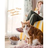 image:imageRaised Cat Food Bowl Ceramic 15 Tilted Cat Food Bowls Protect Cats Spine Anti Vomiting Backflow Prevention Bowls for Adult Kitty Kitten and Small Dogs GreenFaceGrey1P