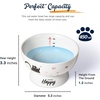 image:imageRaised Cat Food Bowl Ceramic 15 Tilted Cat Food Bowls Protect Cats Spine Anti Vomiting Backflow Prevention Bowls for Adult Kitty Kitten and Small Dogs GreenPinkWater Bowl