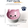 image:imageRaised Cat Food Bowl Ceramic 15 Tilted Cat Food Bowls Protect Cats Spine Anti Vomiting Backflow Prevention Bowls for Adult Kitty Kitten and Small Dogs GreenPinkFace