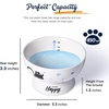 image:imageRaised Cat Food Bowl Ceramic 15 Tilted Cat Food Bowls Protect Cats Spine Anti Vomiting Backflow Prevention Bowls for Adult Kitty Kitten and Small Dogs GreenBlueWater Bowl