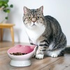 image:imageRaised Cat Food Bowl Ceramic 15 Tilted Cat Food Bowls Protect Cats Spine Anti Vomiting Backflow Prevention Bowls for Adult Kitty Kitten and Small Dogs GreenPinkFace