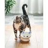 image:imageRaised Cat Food Bowl Ceramic 15 Tilted Cat Food Bowls Protect Cats Spine Anti Vomiting Backflow Prevention Bowls for Adult Kitty Kitten and Small Dogs GreenBlue Ears