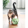 image:imageRaised Cat Food Bowl Ceramic 15 Tilted Cat Food Bowls Protect Cats Spine Anti Vomiting Backflow Prevention Bowls for Adult Kitty Kitten and Small Dogs GreenFaceGreen1P