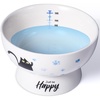 image:imageRaised Cat Food Bowl Ceramic 15 Tilted Cat Food Bowls Protect Cats Spine Anti Vomiting Backflow Prevention Bowls for Adult Kitty Kitten and Small Dogs GreenBlueWater Bowl