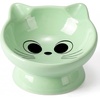 image:imageRaised Cat Food Bowl Ceramic 15 Tilted Cat Food Bowls Protect Cats Spine Anti Vomiting Backflow Prevention Bowls for Adult Kitty Kitten and Small Dogs GreenFaceGreen1P