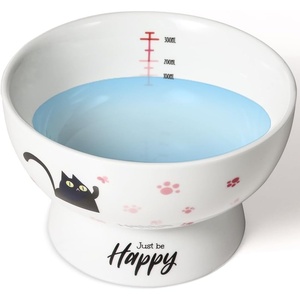 image:imageRaised Cat Food Bowl Ceramic 15 Tilted Cat Food Bowls Protect Cats Spine Anti Vomiting Backflow Prevention Bowls for Adult Kitty Kitten and Small Dogs GreenPinkWater Bowl