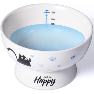 image:imageRaised Cat Food Bowl Ceramic 15 Tilted Cat Food Bowls Protect Cats Spine Anti Vomiting Backflow Prevention Bowls for Adult Kitty Kitten and Small Dogs GreenBlueWater Bowl